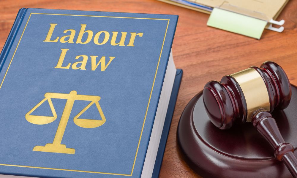 Empowering Employees: A Guide to Labour Law Worldwide